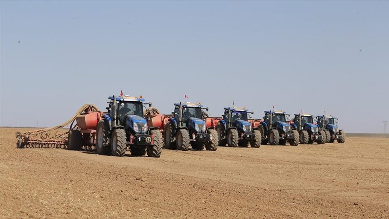 Türkiye'nin en büyük tarım işletmesinde buğday tohumları toprakla buluşuyor