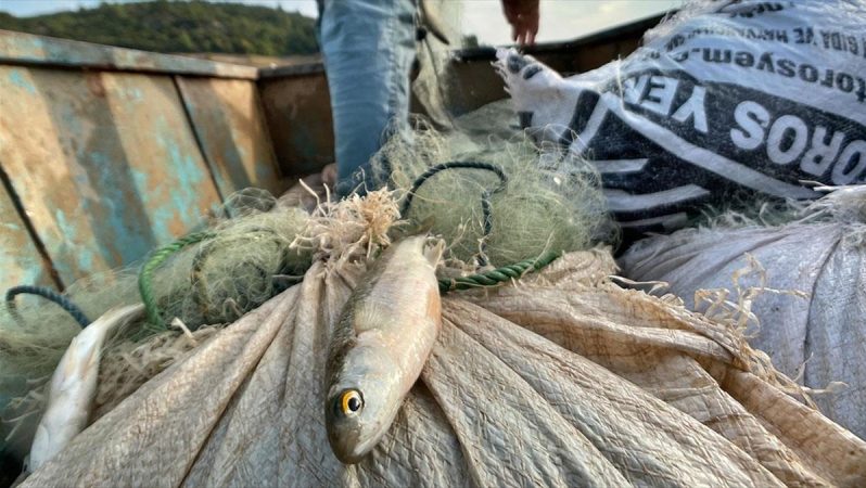 Baraj gölünde avlanan gümüş balığı, Avrupa ve Orta Doğu ülkelerine ihraç ediliyor