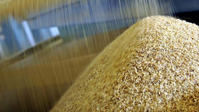Pakistan Rusya'dan 300 bin ton buğday ithalatı planını onayladı